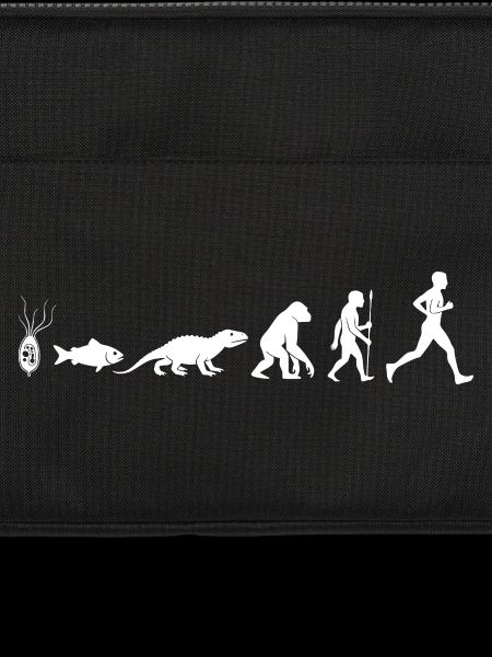Evolution Run Fitness Silhouette