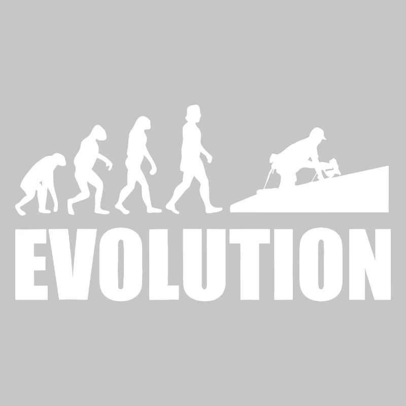 Evolution to Innovation