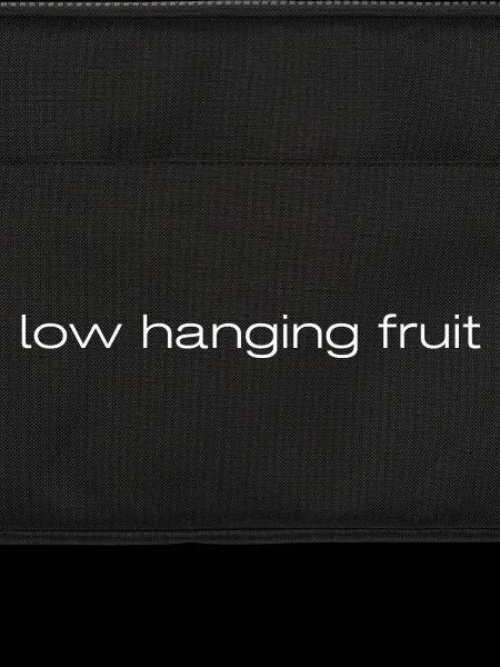 low hanging fruit