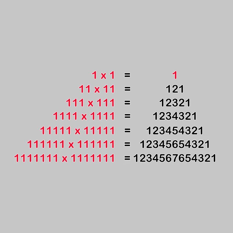 Number Palindrome Mathematics Physics 1x1 1^2 Gift