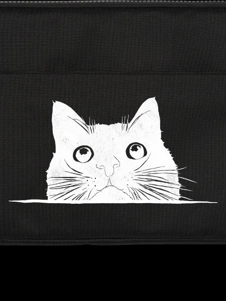 Peeping cat with whiskers