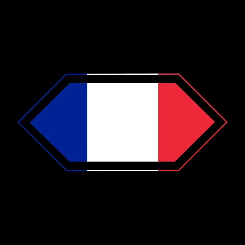 Losange du drapeau français