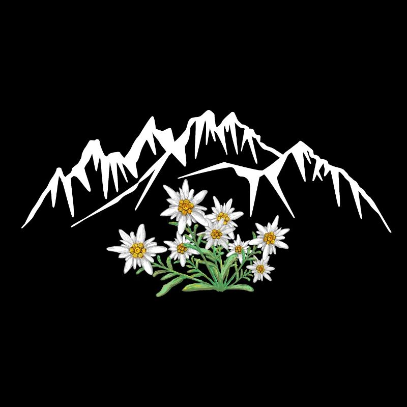 Alpen Edelweiss devant le groupe de montagnes