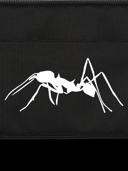 Ant