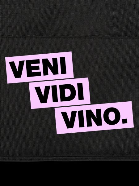 Veni Vidi Vino