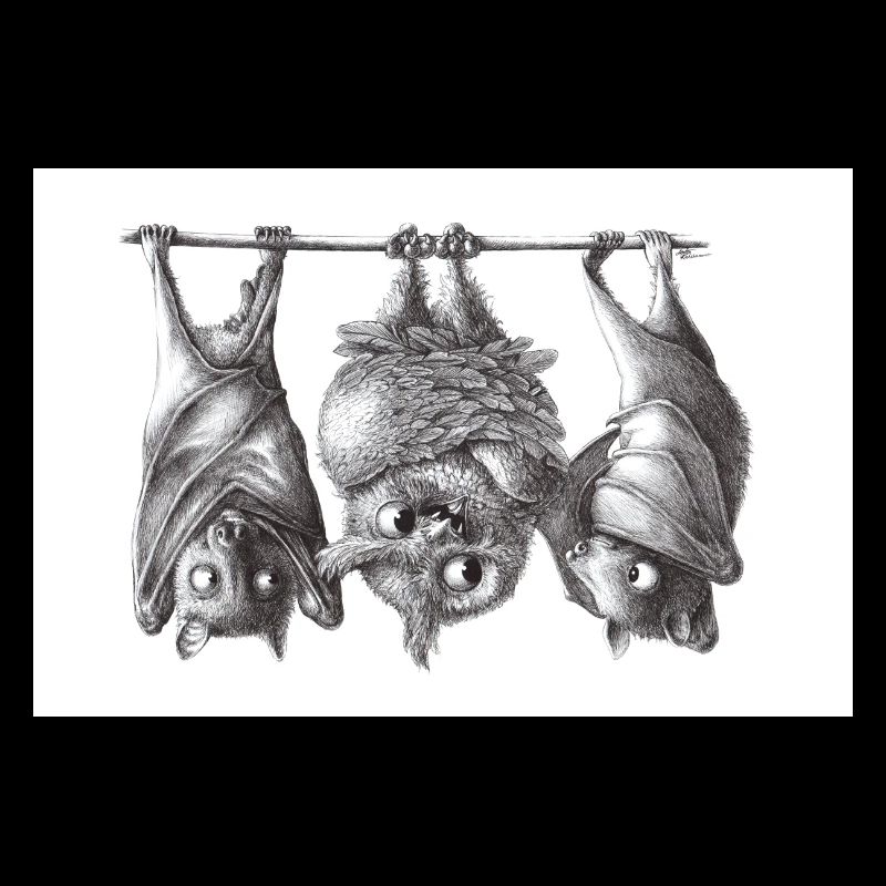 Vampireule und Fledermäuse