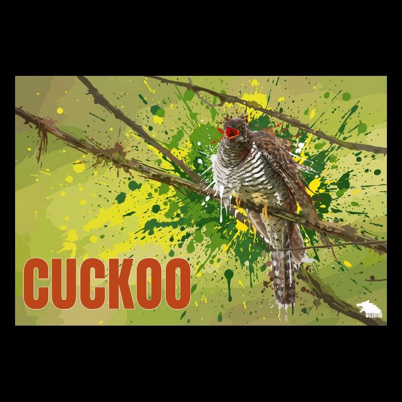 CUCKOO