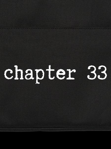 chapter 33 Birthday
