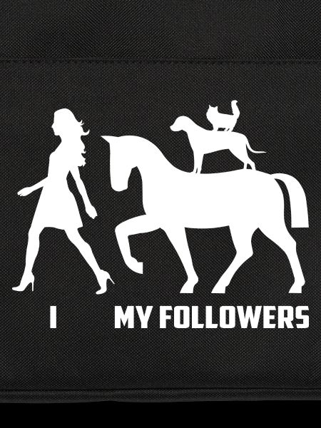 Pferd Follower