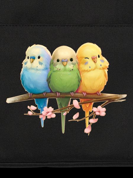 Funny budgies