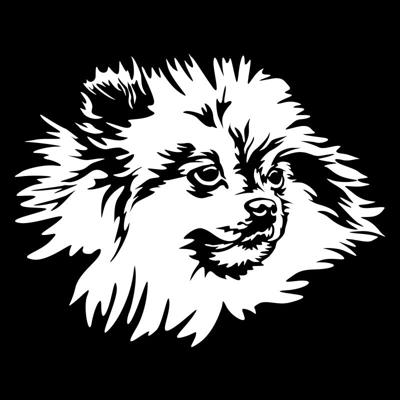 Zwergspitz Head « Black Edition »