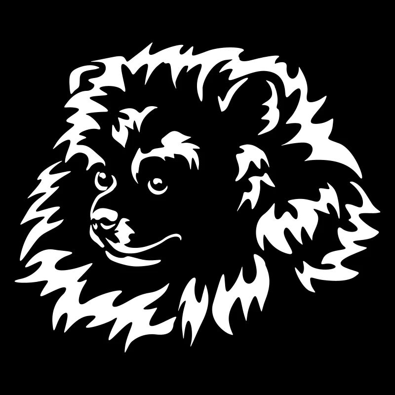Miniature Spitz Head "Black Edition"