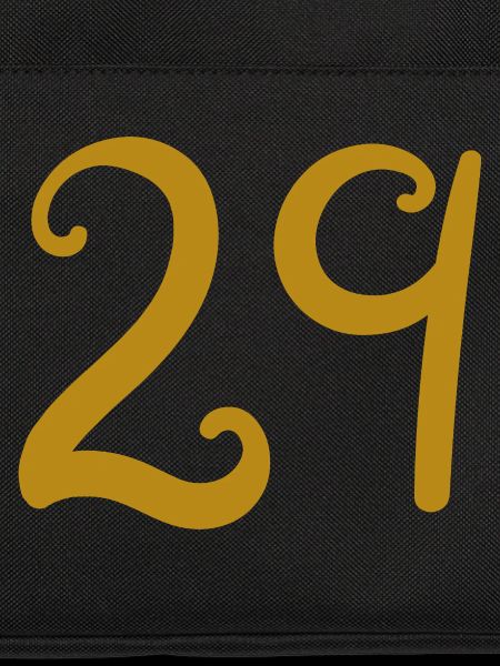 29