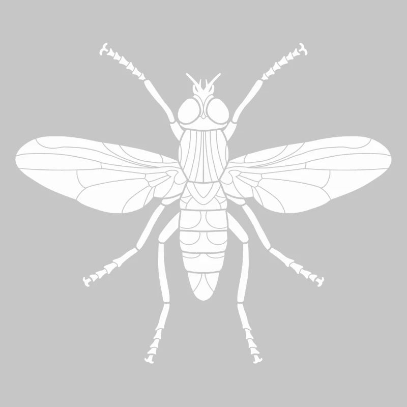 Stubenfliege