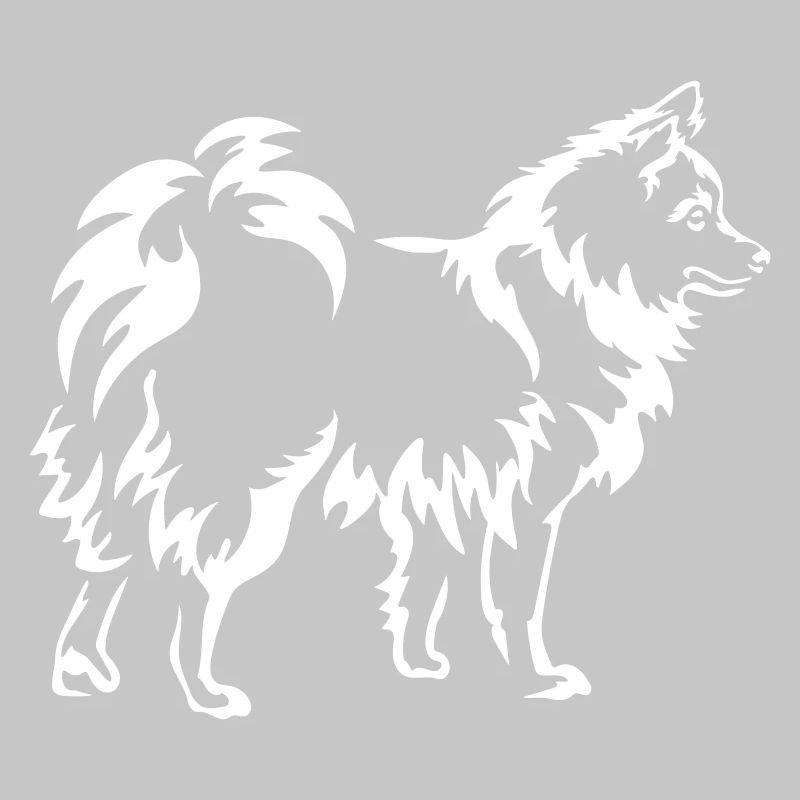 Spitz "Black Edition"