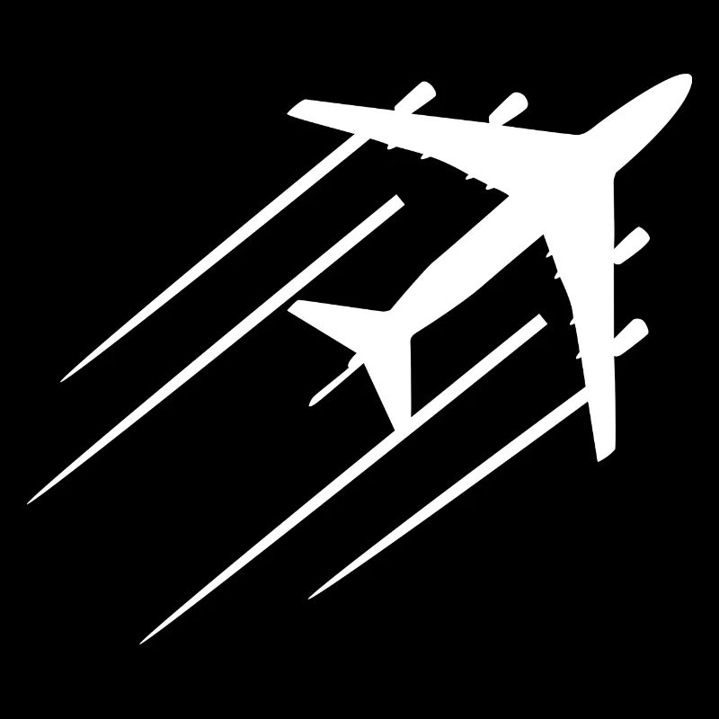 Flugzeug