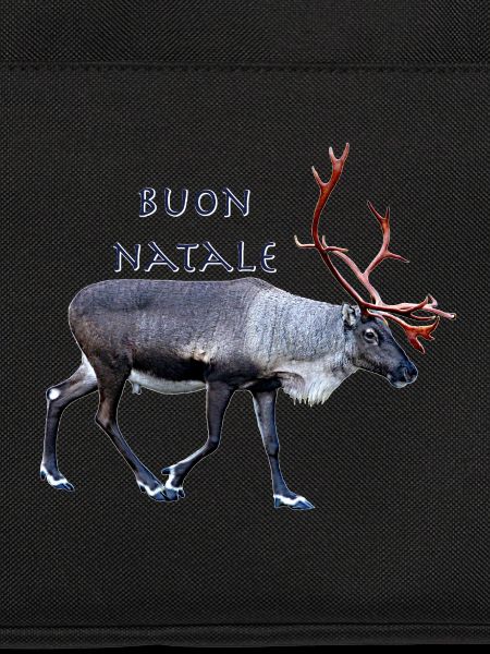 Buon Natale