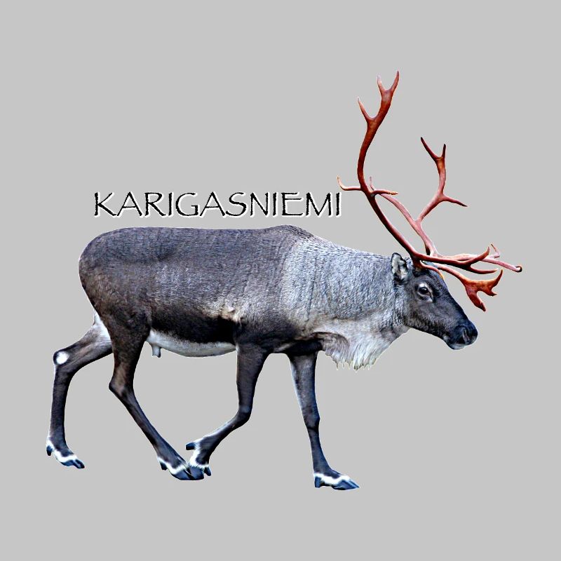KARIGASNIEMI