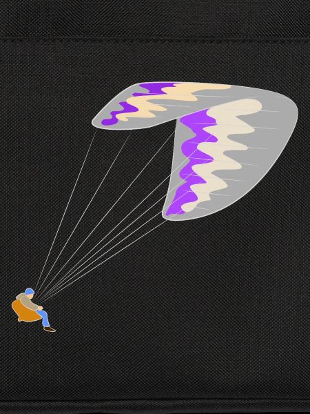 Paraglider