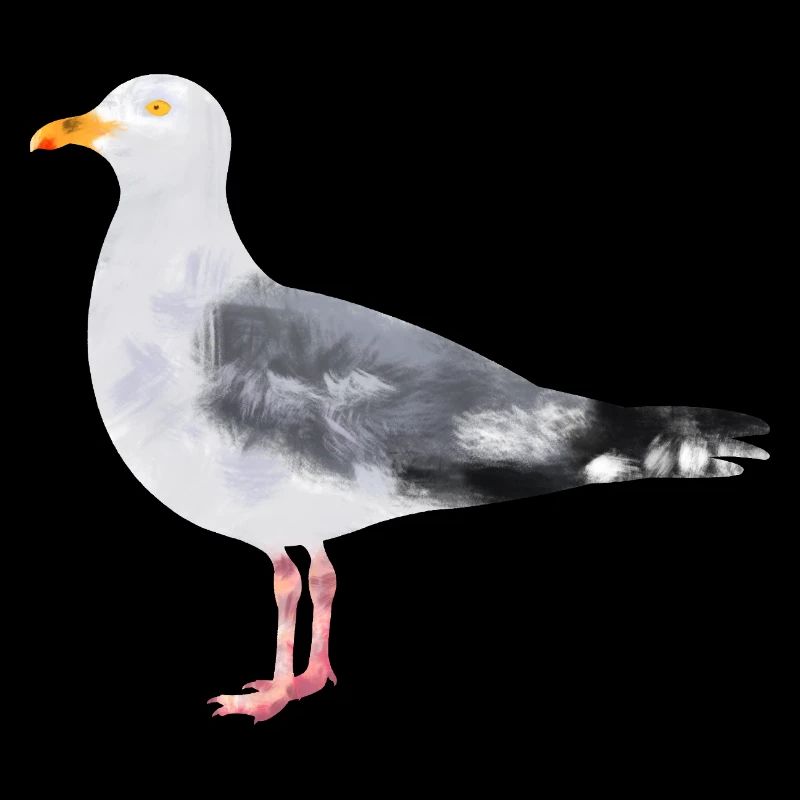 Silbermöve