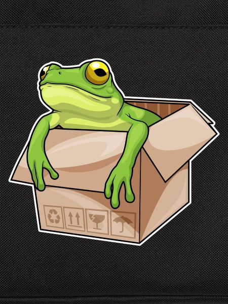 Frosch Karton