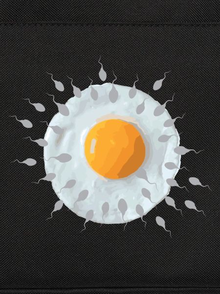 Breakfast egg