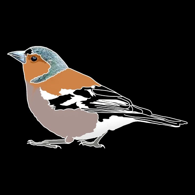 Chaffinch Illustration – Native Birds