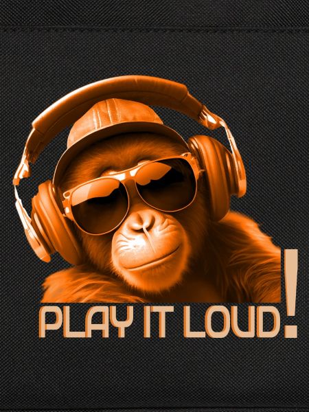 Play It Loud Affe DJ