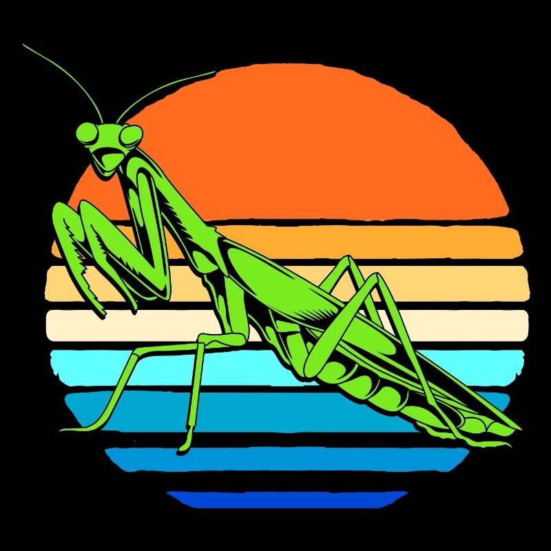 Gottesanbeter Gottesanbeterin Mantis