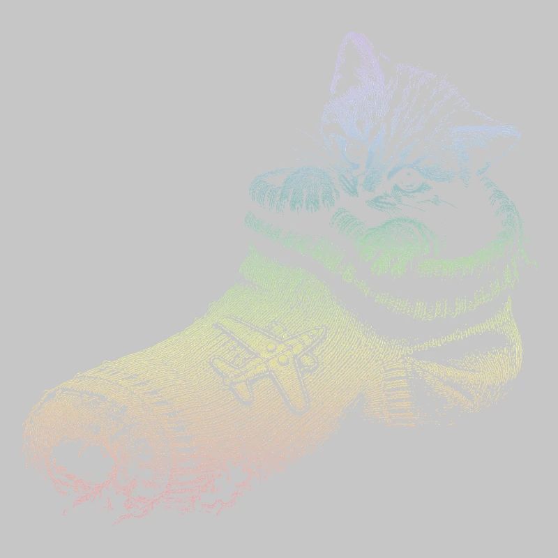 kitten