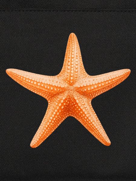Orangener Seestern Stranddesign