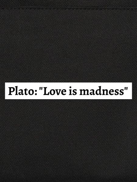 Plato's Quote