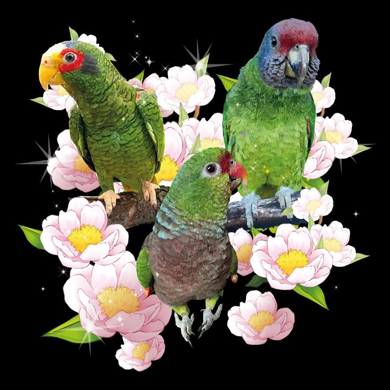 Papageien