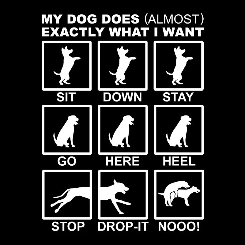 Dog training