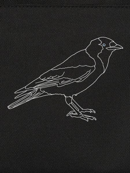 Jackdaw lineart