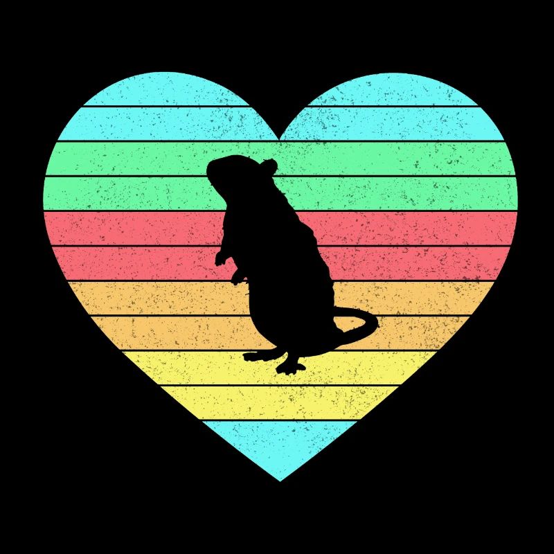 Mouse heart design with rainbow / gift