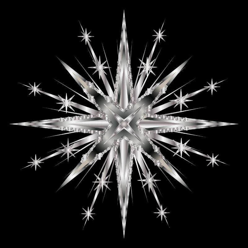 Silver glamorous timeless star