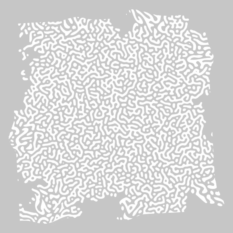 Turing Pattern Blanc - Ver