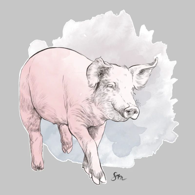 Cochon mignon devant une masse colorée