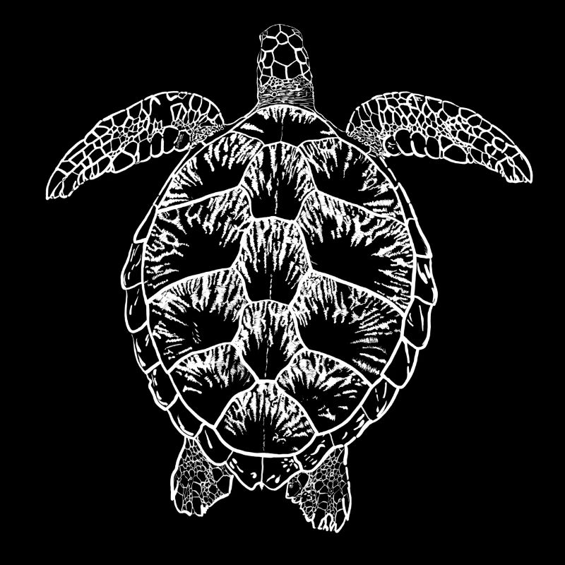 Tortue blanche2