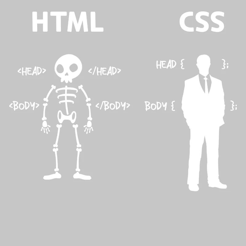 Code Css C++ Php Java Developer Code Skripting