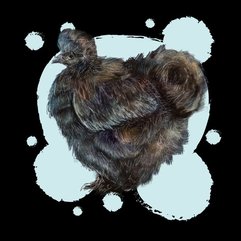 The black silky chicken