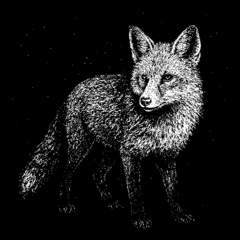 Ein Fuchs