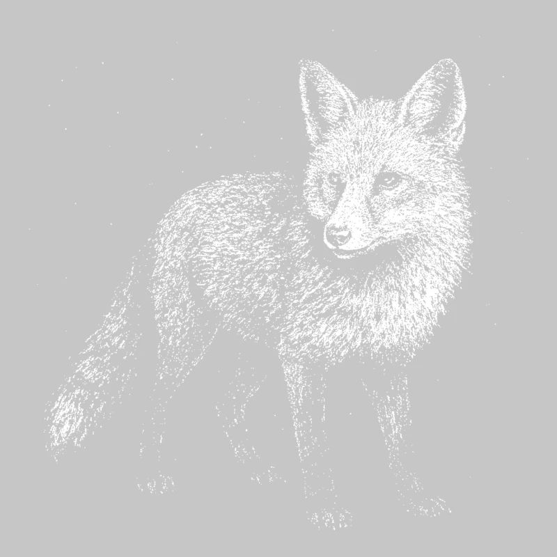 A fox