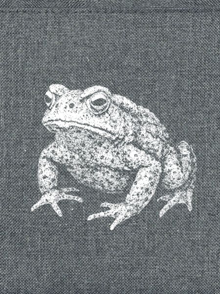 Toad