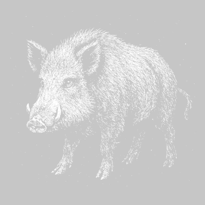 Wildschwein