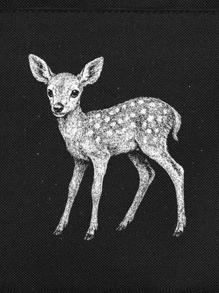 Fawn