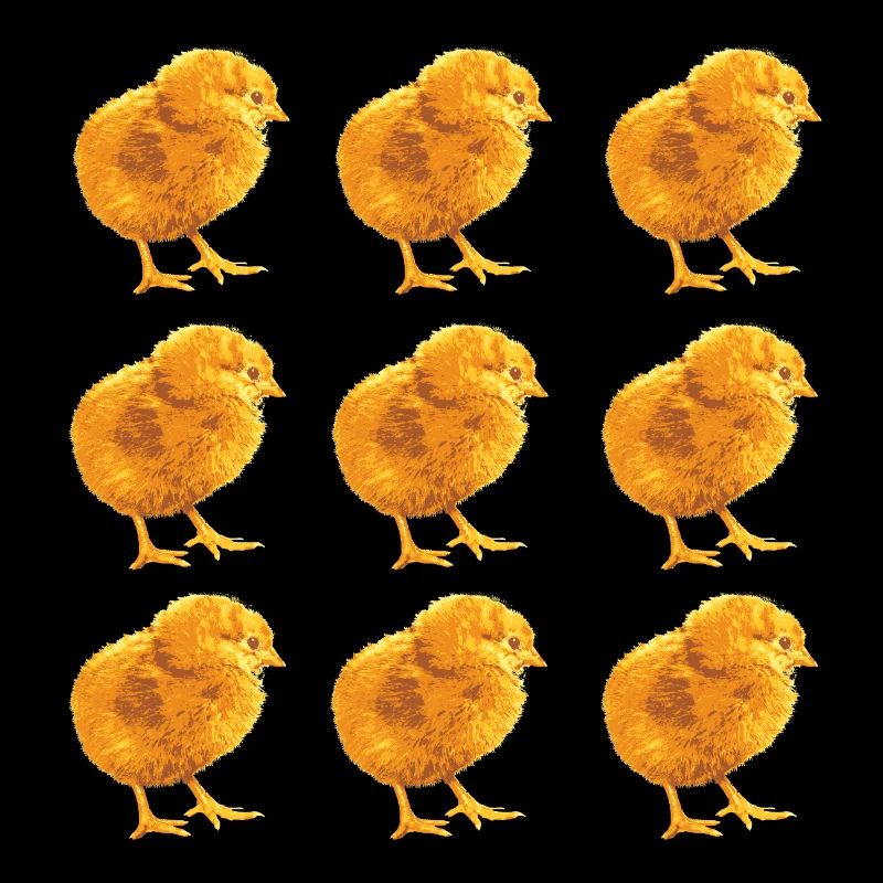 Chick Pattern for Spring and Nature