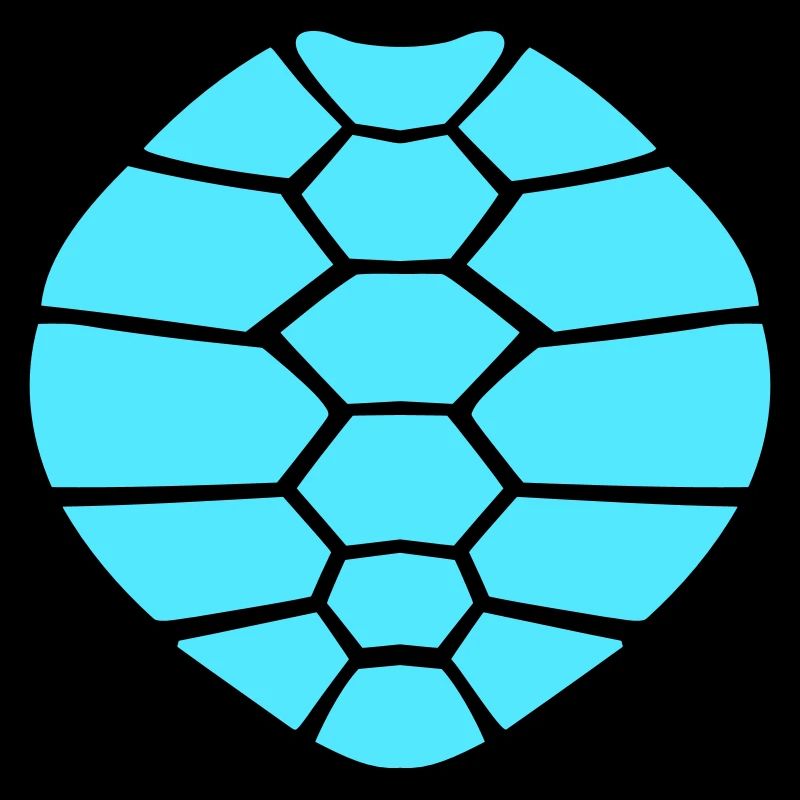 Turtle shell pattern turtle icon cool