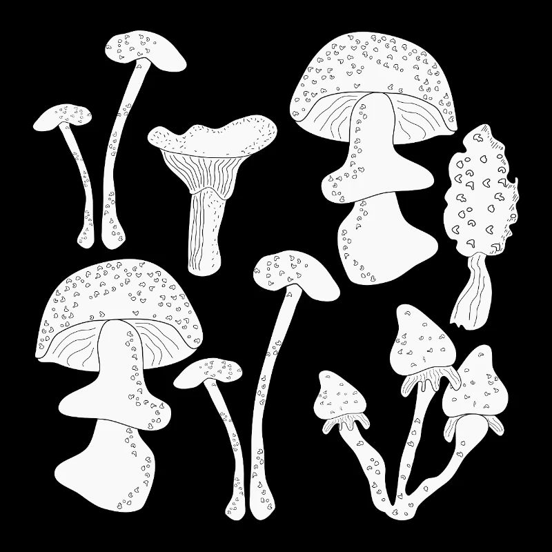 Cueillette de champignons en automne